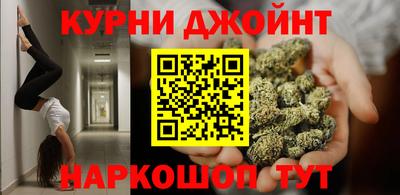 apvp Камышлов