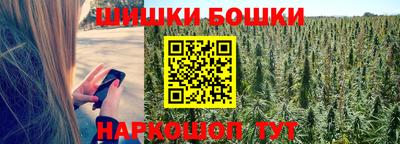 apvp Камышлов