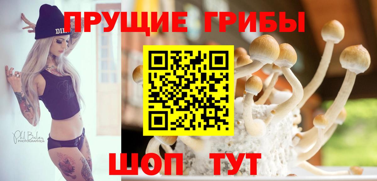 Галлюциногенные грибы MAGIC MUSHROOMS Кувандык